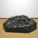 신선탕 Daum카페