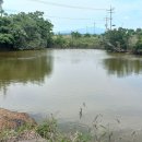 신도3리 이미지