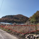 김동석농장 이미지