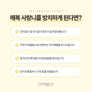 정부청사역 이미지