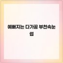 다, 가꿈