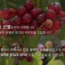 원커피 이미지