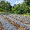 송이네농장 이미지