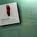 몽산포영농조합법인 네이버블로그