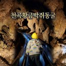 CU 동해천곡점 | 4억 년의 신비 천곡황금박쥐동굴 동해 아이와 가볼 만한 곳