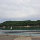 갈릴리회집 이미지