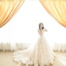 맥주세상 이미지