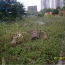 관창로4번길 이미지