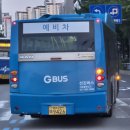 선진버스 이미지