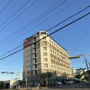 케니스테이제주모슬포 | 제주도 여자 혼자 여행 서귀포 숙소 케니스테이 제주 모슬포