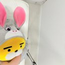 티아나 | 청주대왁싱 추천 티아나뷰티 슈가링왁싱 브라질리언왁싱 후기