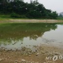 영서축산 이미지