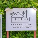 팔봉수피아 네이버블로그