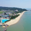 보성 이미지