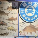 경기도 수원시 팔달구 효원로307번길 19 (인계동) | 수원 인계동 해적왕 실내낚시카페 │ 예비초등 8살 아이와 다녀온 실내놀거리 후기 🎣