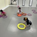 센트럴 태권도 이미지