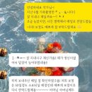 루체(LUCE) | 피렌체스냅 루체스냅 luce snap 4인 가족스냅 내돈내산 후기