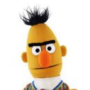 버트 BERT 이미지
