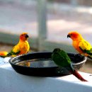 경주버드파크 이미지