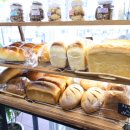 석호로1 이미지