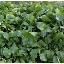 별빛풍경 이미지