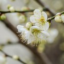 강남함소아 이미지