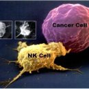 Fine S.B.S 사우나 이미지