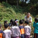 서원초교 병설 유치원 이미지