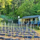 남산리농장 이미지