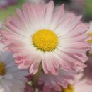 호남신학대학교 이미지