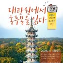 홍루몽 이미지