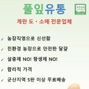 풀잎계란 네이버블로그