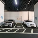 갈산-비상-1 이미지