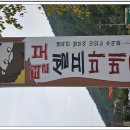 털보네 - 성남시 분당구 | 털보네