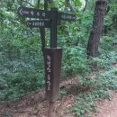 금릉역길 이미지