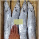 2월 9일(수) 목포는항구다 생선카페 판매생선[ "추천" 대갈치(4미, 3미) / 감태, 젓갈류 ] 이미지