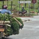 나엘농장 이미지