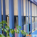 허리우드(8대) 이미지