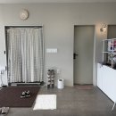 강두부 | 분당 강아지 스튜디오 '스튜디오 천천히' 촬영 보정 후기