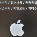 애플보이