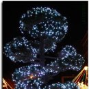 고신대학교 이미지