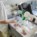 믿을 수 있는 포항 쌍둥이 산후도우미 고운맘산후조리 꿀조합 추천