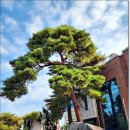 학산2리마을회관 이미지