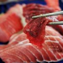 하나참치 이미지