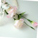 뉴매직크린 이미지