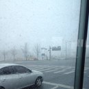 우리가족 헤어커트 이미지