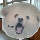 [공지] 명곰의 5주간 영상 제작 실습(인권&amp;미디어)수업 후기