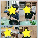 꽃이야나무야강북지부 | 👋새로운시작👋초등특수학급 행운의식물 행운목수경재배