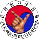 대한합기도 이미지