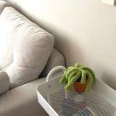 중문안경방 | 준신축 30평대 랜선집들이,인테리어 후기